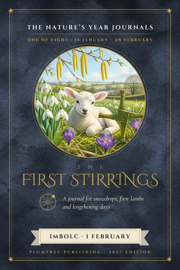 Front cover of The First Stirrings
